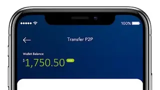 Premier Wallet screenshot