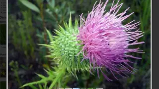 prettyPhoto screenshot