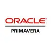Primavera P6