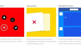 Principle screenshot