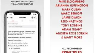 Principles In Action screenshot