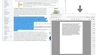 Print Selection to PDF screenshot