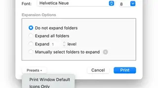 Print Window screenshot