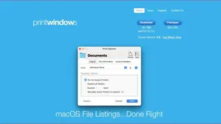 Print Window screenshot