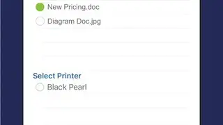 PrinterLogic screenshot