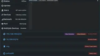 Pritunl Client screenshot
