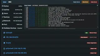 Pritunl Client screenshot