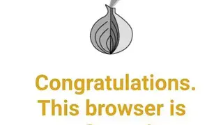 Privacy Browser screenshot