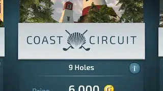 Pro Feel Golf screenshot