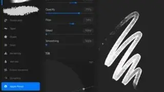 Procreate screenshot
