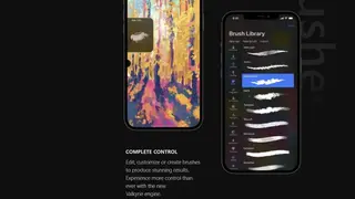 Procreate Pocket screenshot