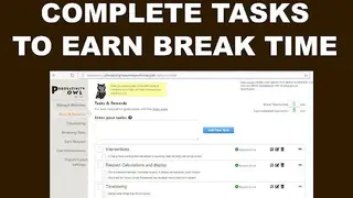 Productivity Owl screenshot