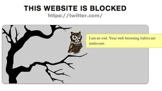 Productivity Owl screenshot