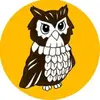 Productivity Owl