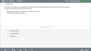 ProfExam Simulator screenshot