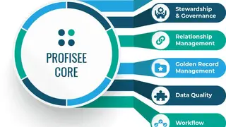 Profisee Platform screenshot