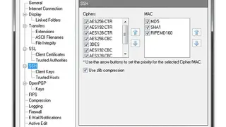 Progress WS_FTP screenshot