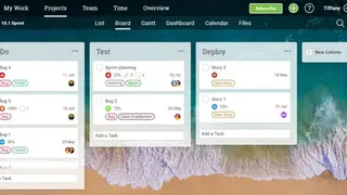Project Manager Online screenshot