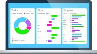 Project Manager Online screenshot