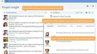 ProjectInsight screenshot