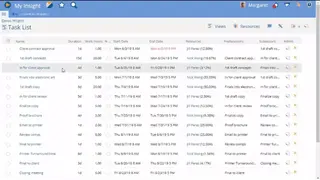 ProjectInsight screenshot