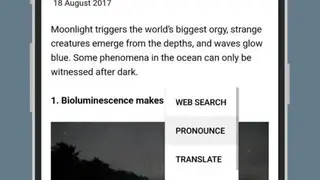 Pronounce screenshot