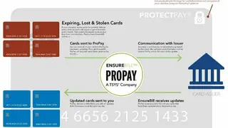 ProPay screenshot