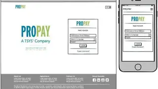 ProPay screenshot