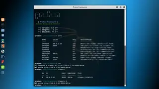 Proton screenshot