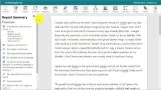 ProWritingAid screenshot