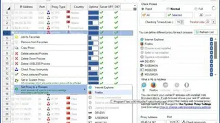Proxy Mask screenshot