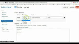Proxy SwitchyOmega screenshot