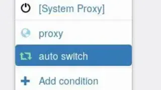 Proxy SwitchyOmega screenshot