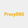 ProxyDNS