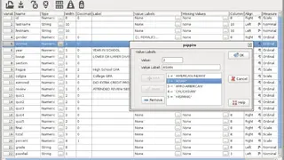 PSPP screenshot
