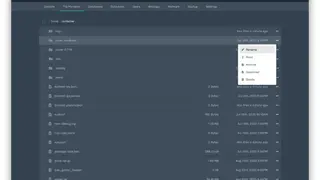 Pterodactyl screenshot