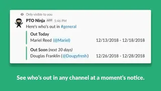 PTO Ninja screenshot