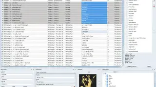 Puddletag screenshot