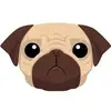 Pug