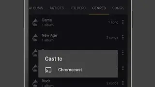 Pulsar Music Player screenshot