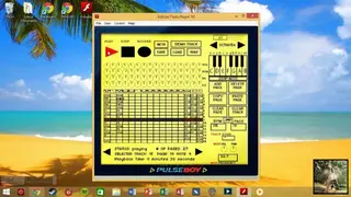 PulseBoy screenshot