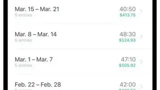 Punch Time Clock Hours Tracker screenshot