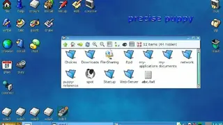 Puppy Linux screenshot
