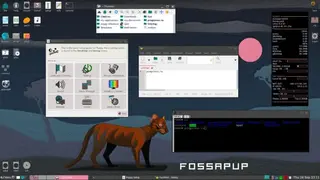 Puppy Linux screenshot