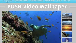 Push Video Wallpaper screenshot