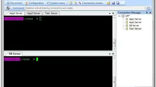 PuTTYCM screenshot