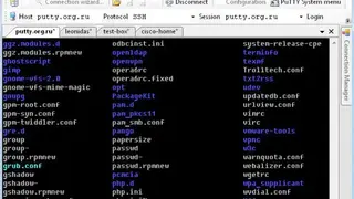 PuTTYCM screenshot