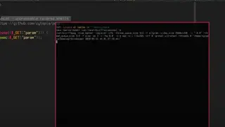 Pwncat screenshot
