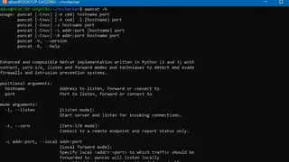 Pwncat screenshot