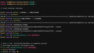 Pwncat screenshot